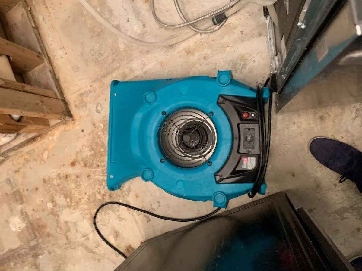 Air mover drying equipment for Mold Remediation & Removal in O'Fallon